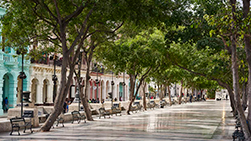 PASEO DEL PRADO